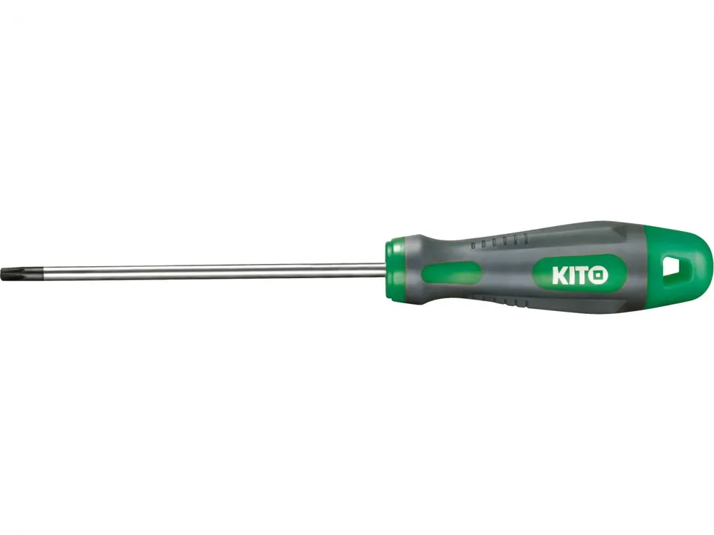 Rychlé Dodání Šroubovák TORX, T 6x100mm
