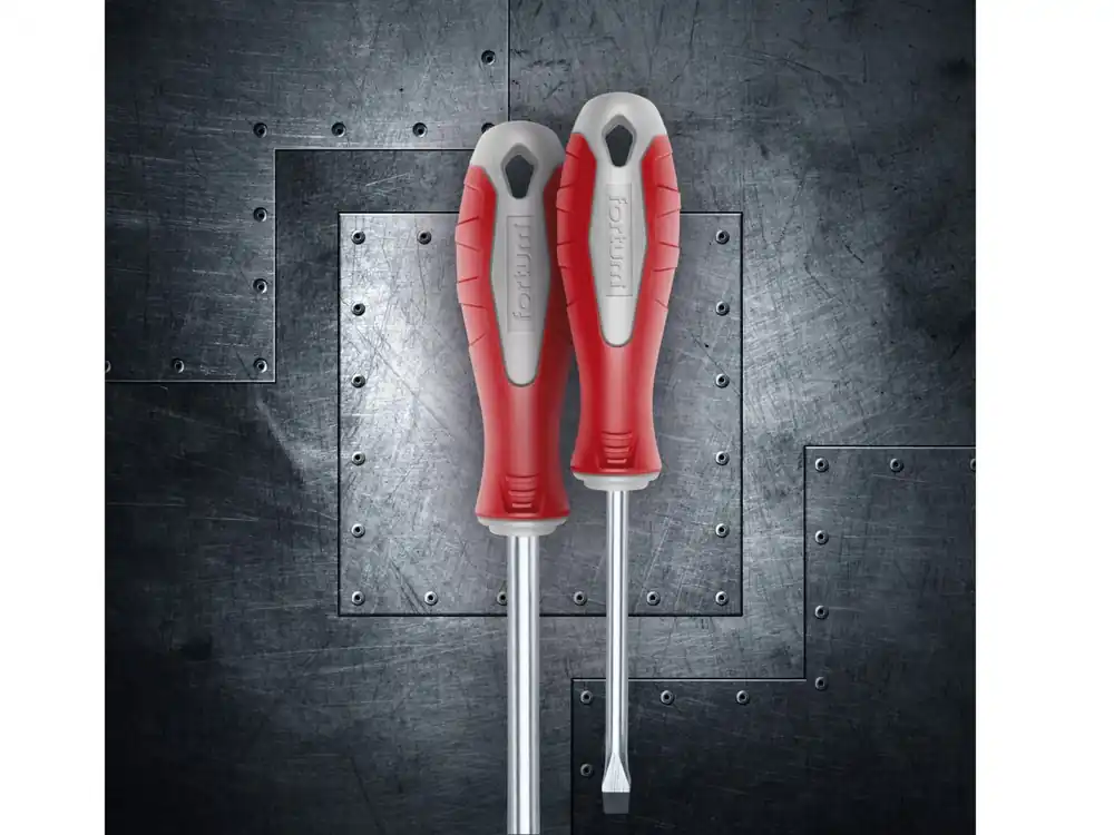 Must-Have Šroubovák křížový phillips, PH 1x100mm, S2