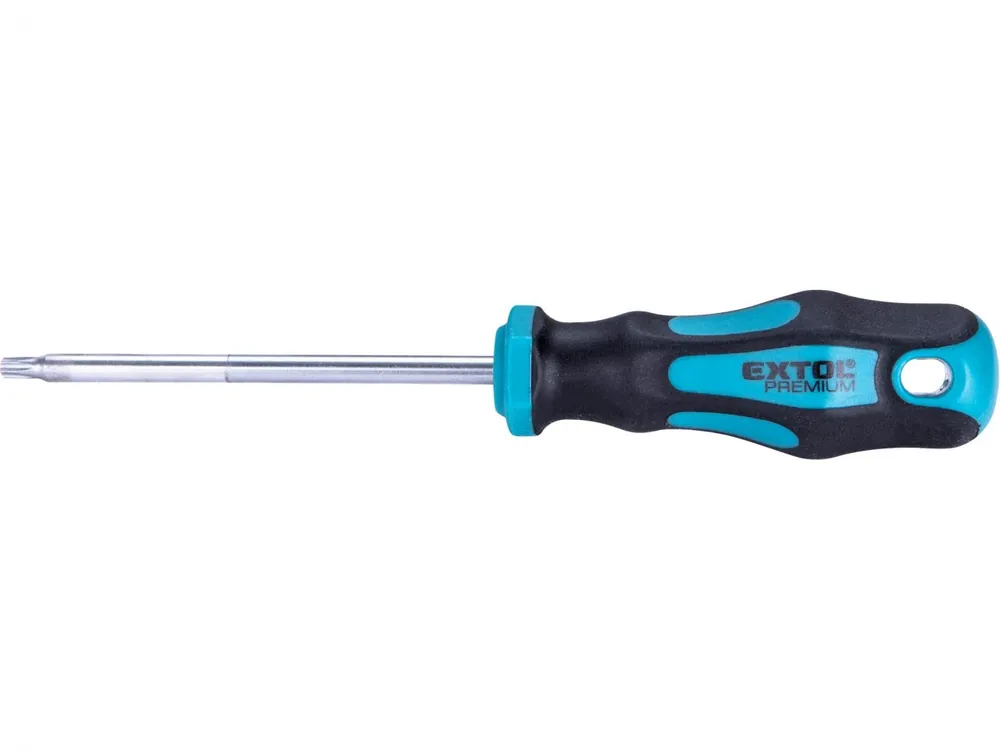Novinka Šroubovák TORX, TTa25x100mm, CrV