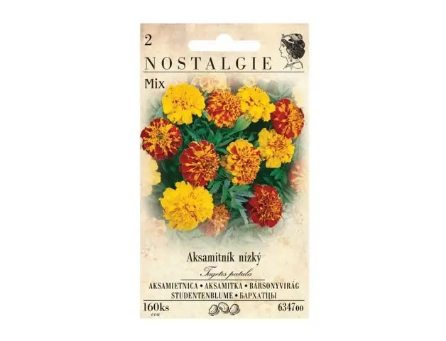 Semena - Aksamitník rozkladitý plnokvětý, směs Novinka