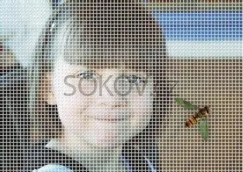 Síť okenní samolepící 150 x 180 cm bílá Výhodná Nabídka