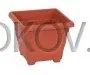 Květináč Begonia 14 x 14 T Speciální Cena