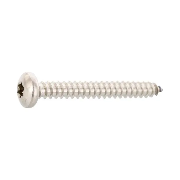 Super Cena DIN7981C 5.5 x 22 Torx25 vrut do plechu s čočkovou hlav. z ušlecht. oceli A2