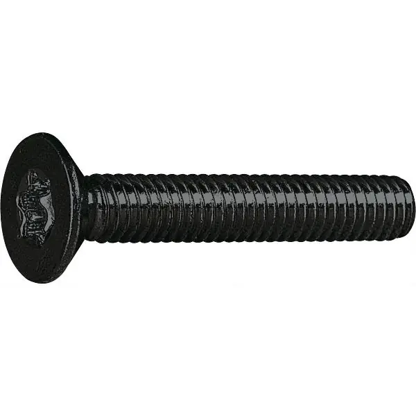 Expresní Doručení ISO14581 08.8 M 4x12 Torx 20 šroub se zápustnou hlavou černý pozink