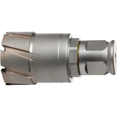 Bezpečná Platba Jádrový vrták QuickIN tvrdokov MAX průměr 66 x 50 mm Fein 63127346010