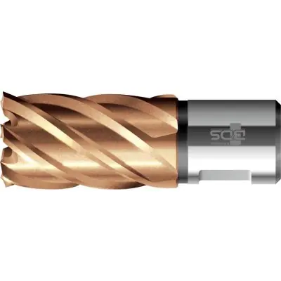 Odeslání Ihned Jádrový vrták VARIOPlus krátký KBK HSS stopka Weldon 42/30 mm BDS KBK-VP 042