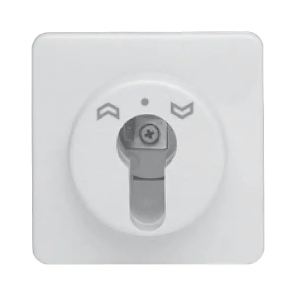 HAUTAU klíčový spínač ST 010 pro polov. cylindr. vložku, 24 V/230 V, plast, bílá Cenově Výhodný