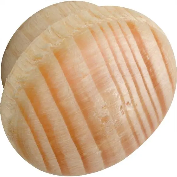 Dřevěná krytka ø 14 mm, čep ø 10 mm, délka čepu 4 mm, smrk bez povrchové úpravy Novinka